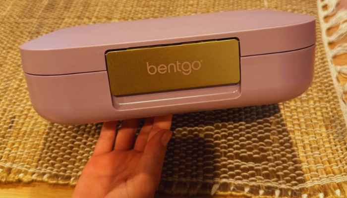 The Bentgo Lunch Box Best Bentgo Lunch Box 817387024471